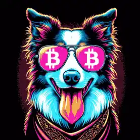 BTC Shades border collie