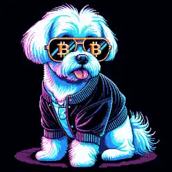 BTC Shades maltese