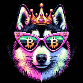BTC Shades norwegian elkhound