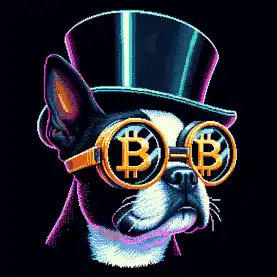 BTC Shades boston terrier