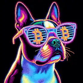 BTC Shades boston terrier