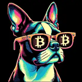 BTC Shades boston terrier