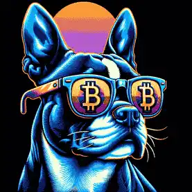 BTC Shades boston terrier