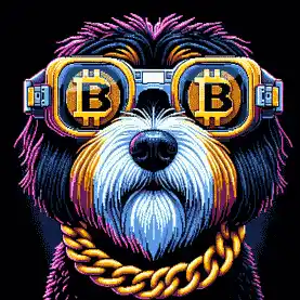 BTC Shades havanese