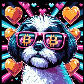 BTC Shades shih tzu