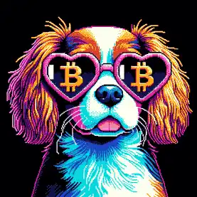 BTC Shades king charles cavalier